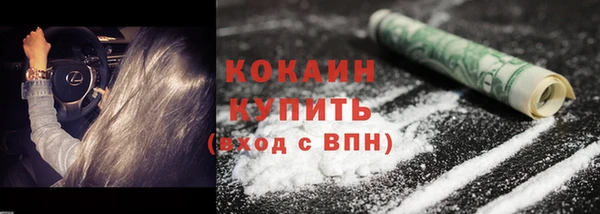 шишки Киреевск