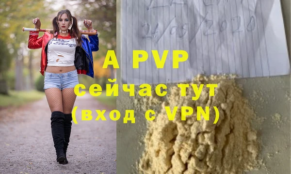 спиды Кинешма