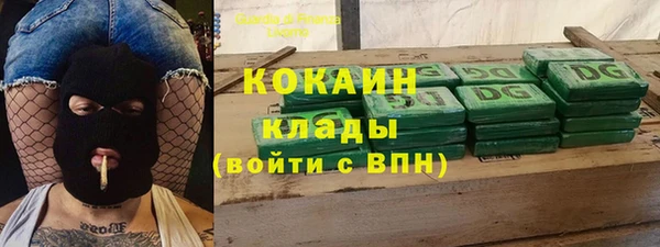 шишки Киреевск