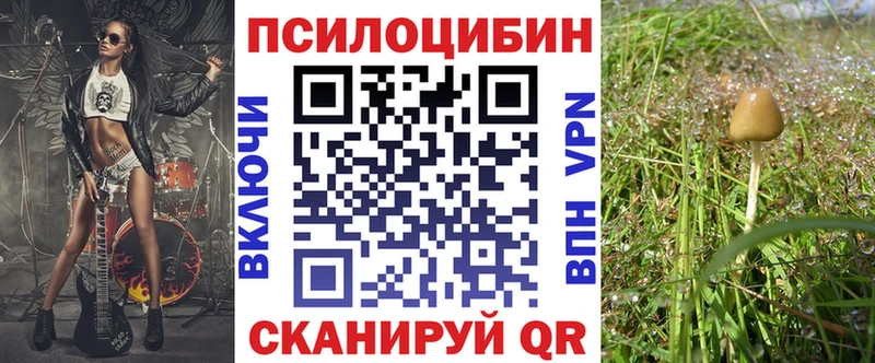 Псилоцибиновые грибы Psilocybine cubensis Купить где Орск